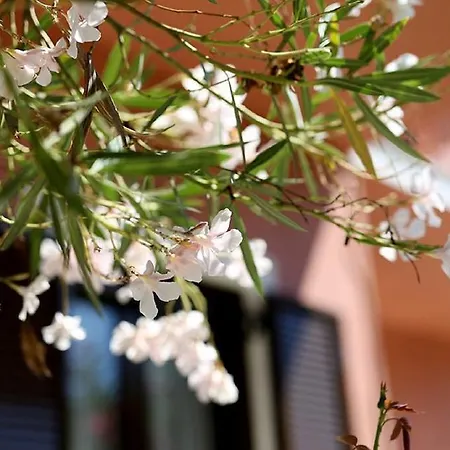 Vassilis Studio's Perivólion