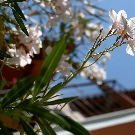 Vassilis Studio's Villa Perivólion