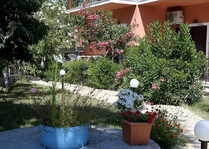Vassilis Studio's