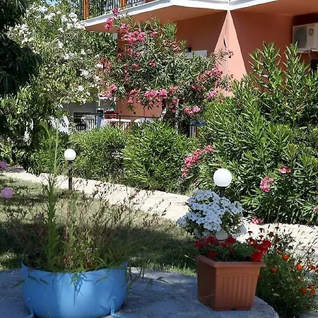 Vassilis Studio's